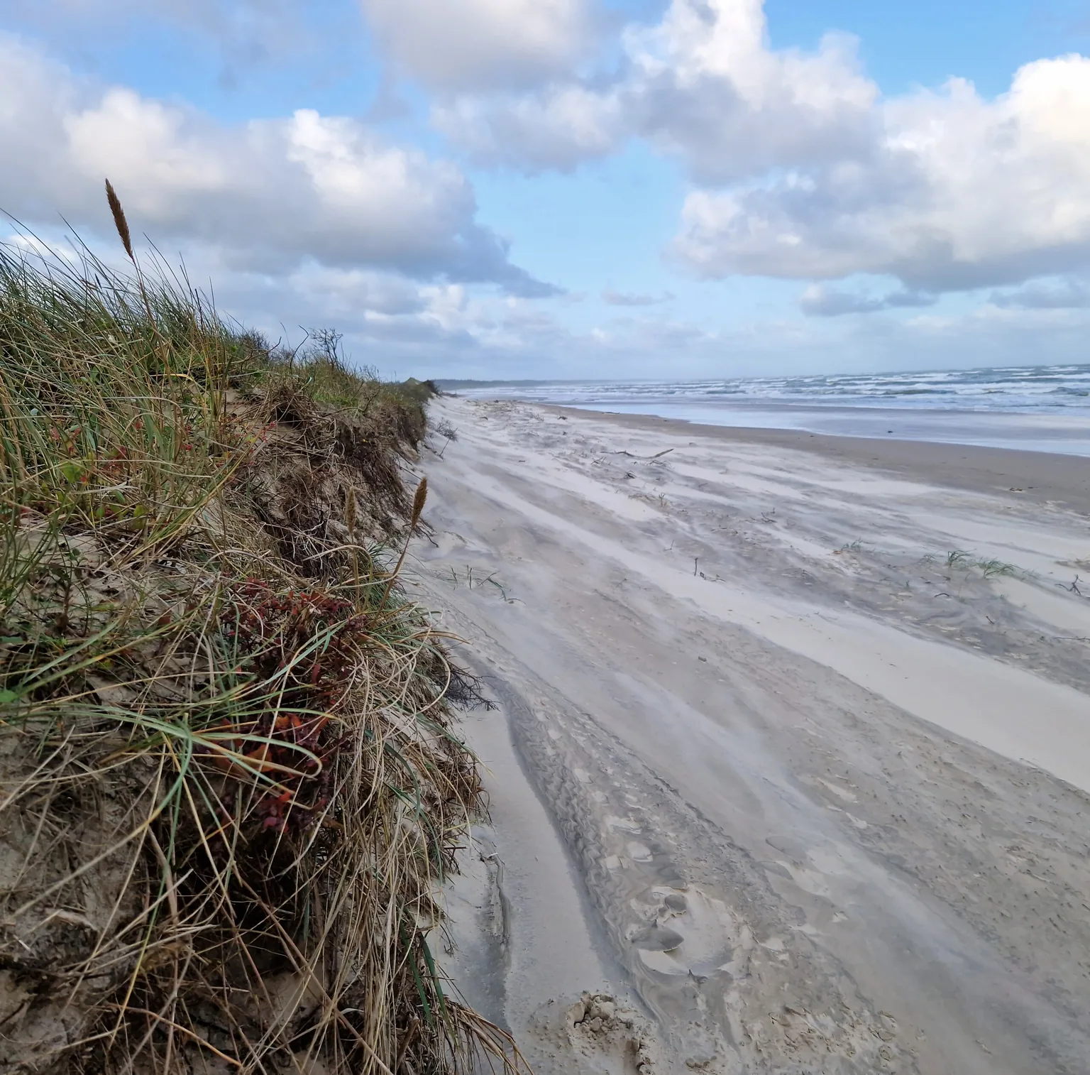 Strand an der Dünenkante mit Strandhafer