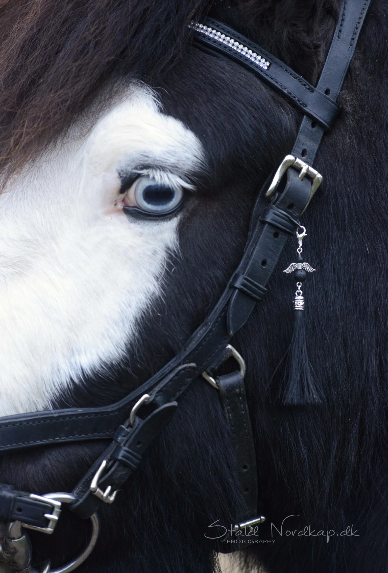 Schutzengel mit Quaste aus schwarzem Pferdehaar an der Trense eines Pferdes mit weißem Gesicht